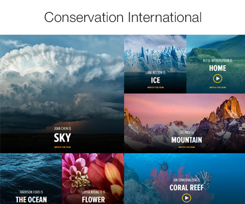Conservation-International